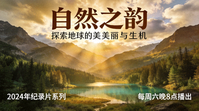 纪录片自然风光海报